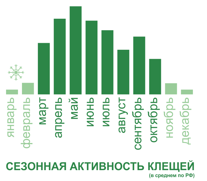 Акарицидная обработка от клещей территории и участков в Новороссийске. Цены